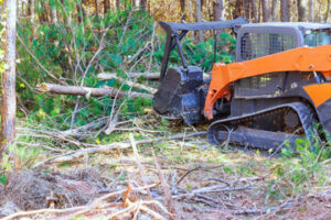 Land Clearing